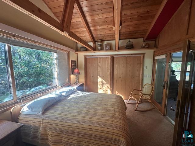 2734 Bear Island River Rd Ely MN 55731 - Bear Island Lake 6124119 image28