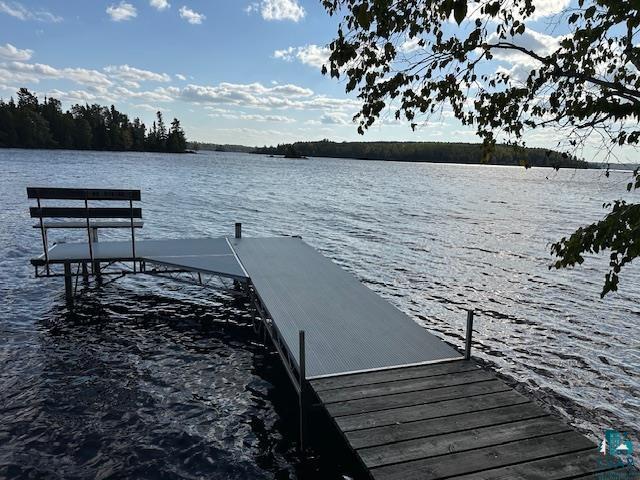 2734 Bear Island River Rd Ely MN 55731 - Bear Island Lake 6124119 image34