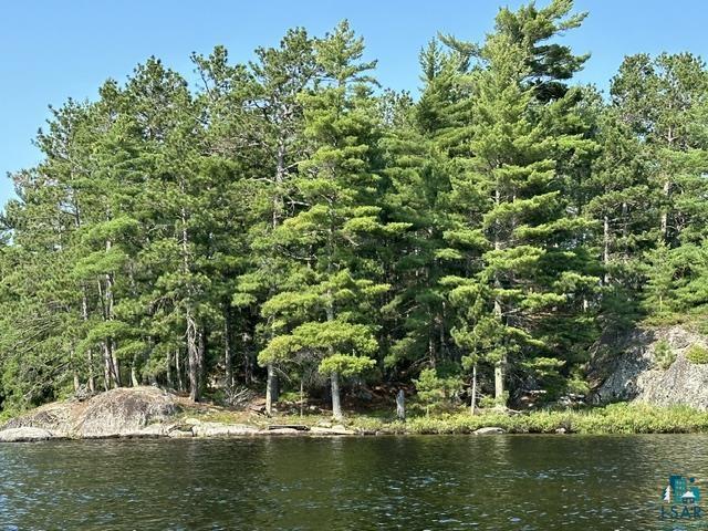 2763 Van Vac Rd Ely MN 55731 - Burntside Lake 6126575 image25