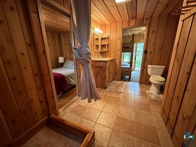 2763 Van Vac Rd Ely MN 55731 - Burntside Lake 6126575 image29