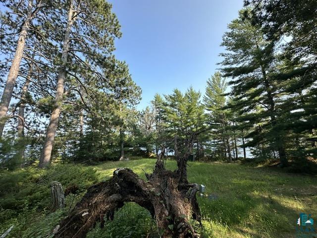 2763 Van Vac Rd Ely MN 55731 - Burntside Lake 6126575 image34