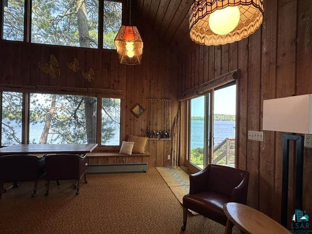 2763 Van Vac Rd Ely MN 55731 - Burntside Lake 6126575 image5