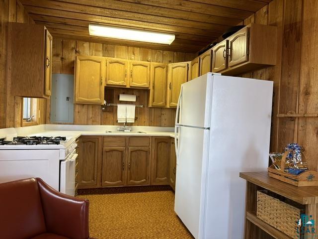 2763 Van Vac Rd Ely MN 55731 - Burntside Lake 6126575 image7