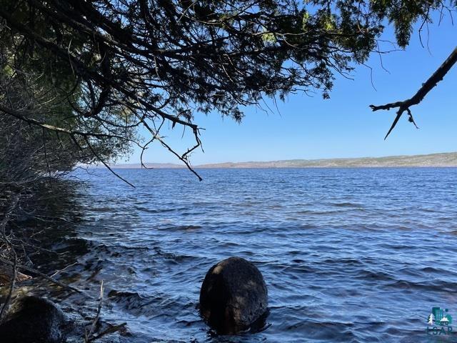 27X Mile O Pine Grand Marais MN 55604 - Gunflint 6099440 image1