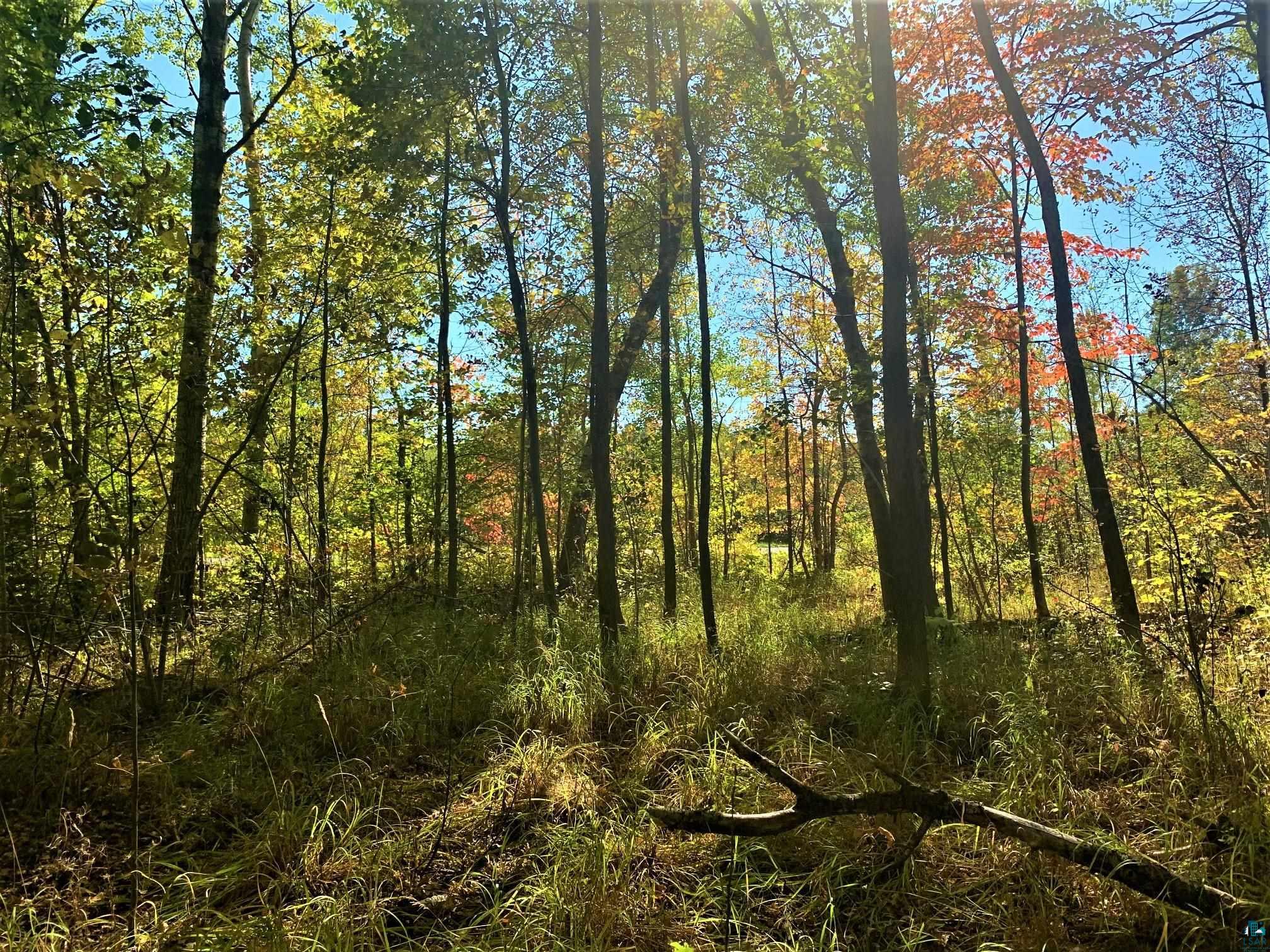 27XX Toll Rd Ashland WI 54806 6089773 image1