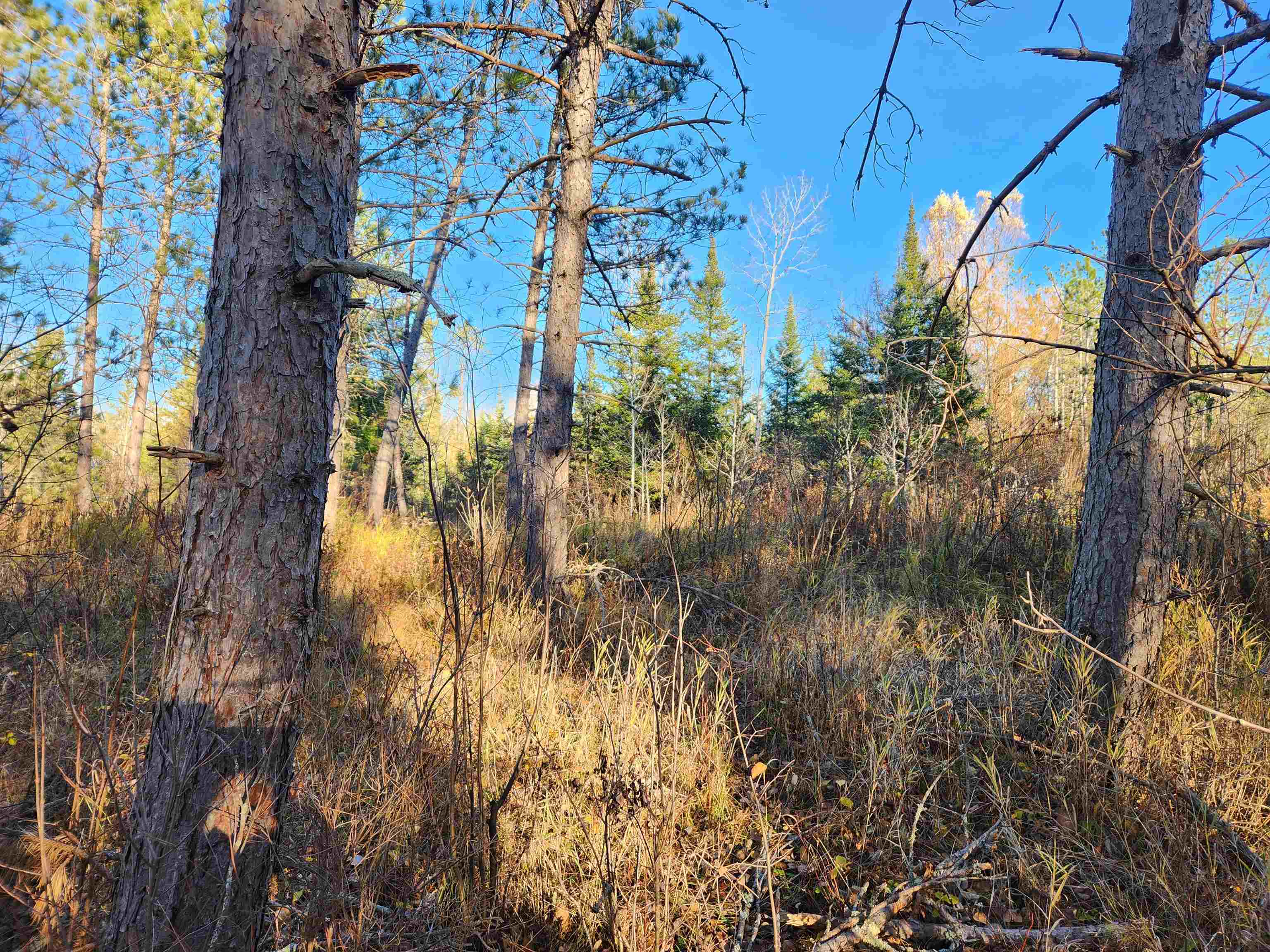 27XXX Dayton Rd Washburn WI 54891 6122840 image10