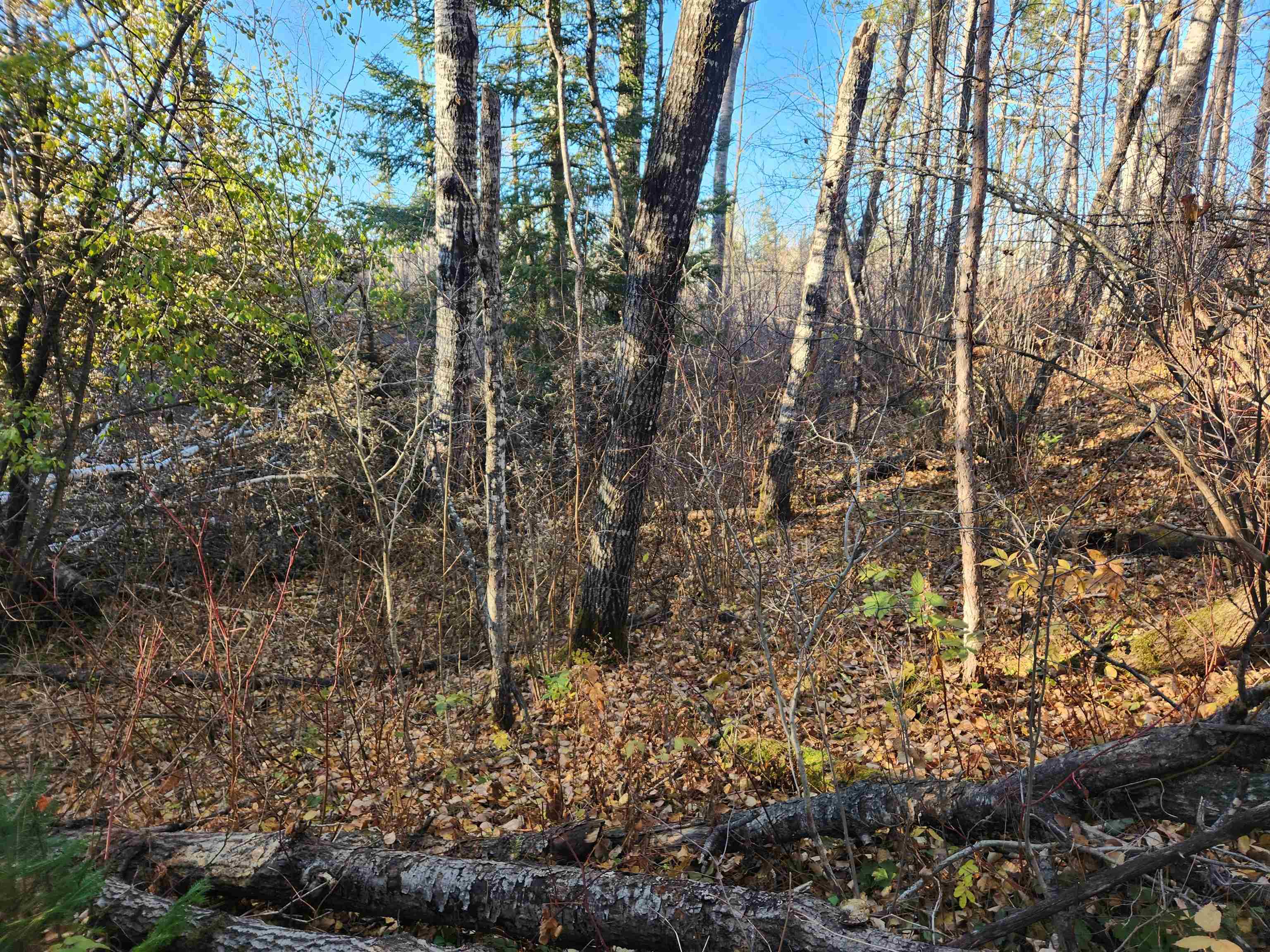 27XXX Dayton Rd Washburn WI 54891 6122840 image11