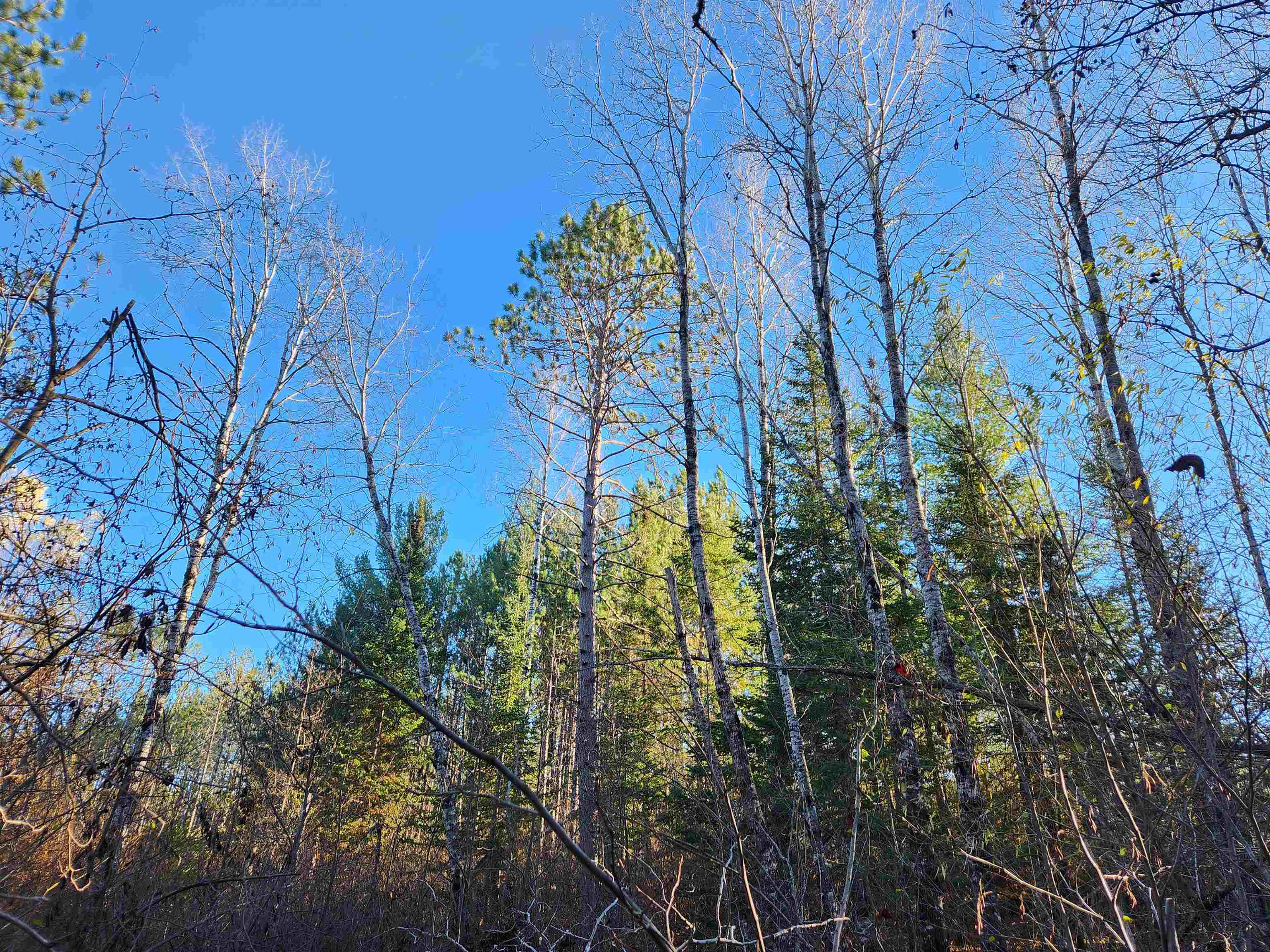 27XXX Dayton Rd Washburn WI 54891 6122840 image12