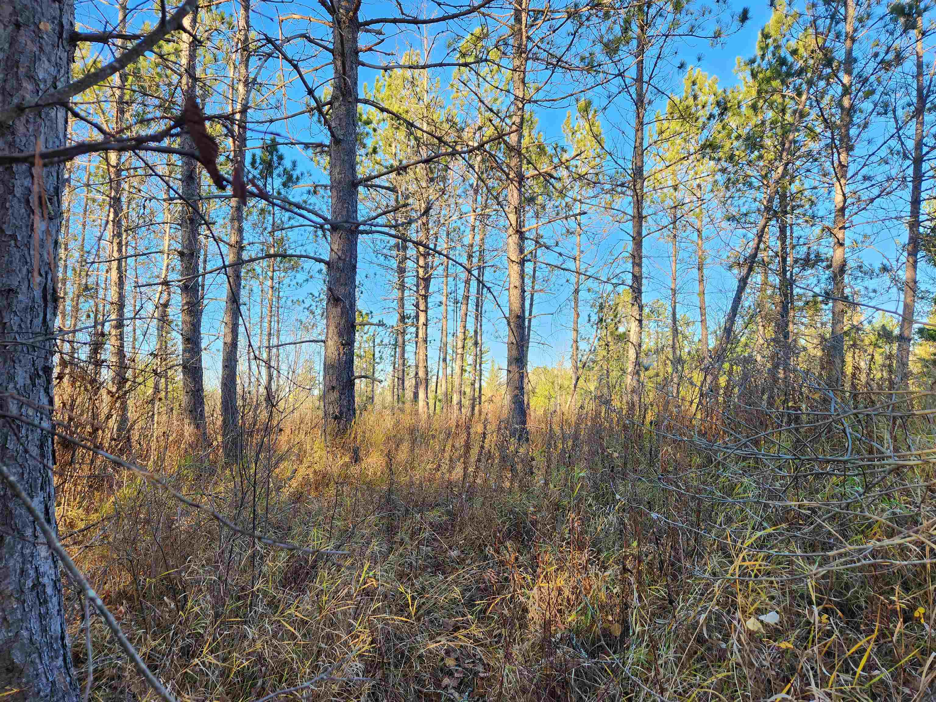 27XXX Dayton Rd Washburn WI 54891 6122840 image2