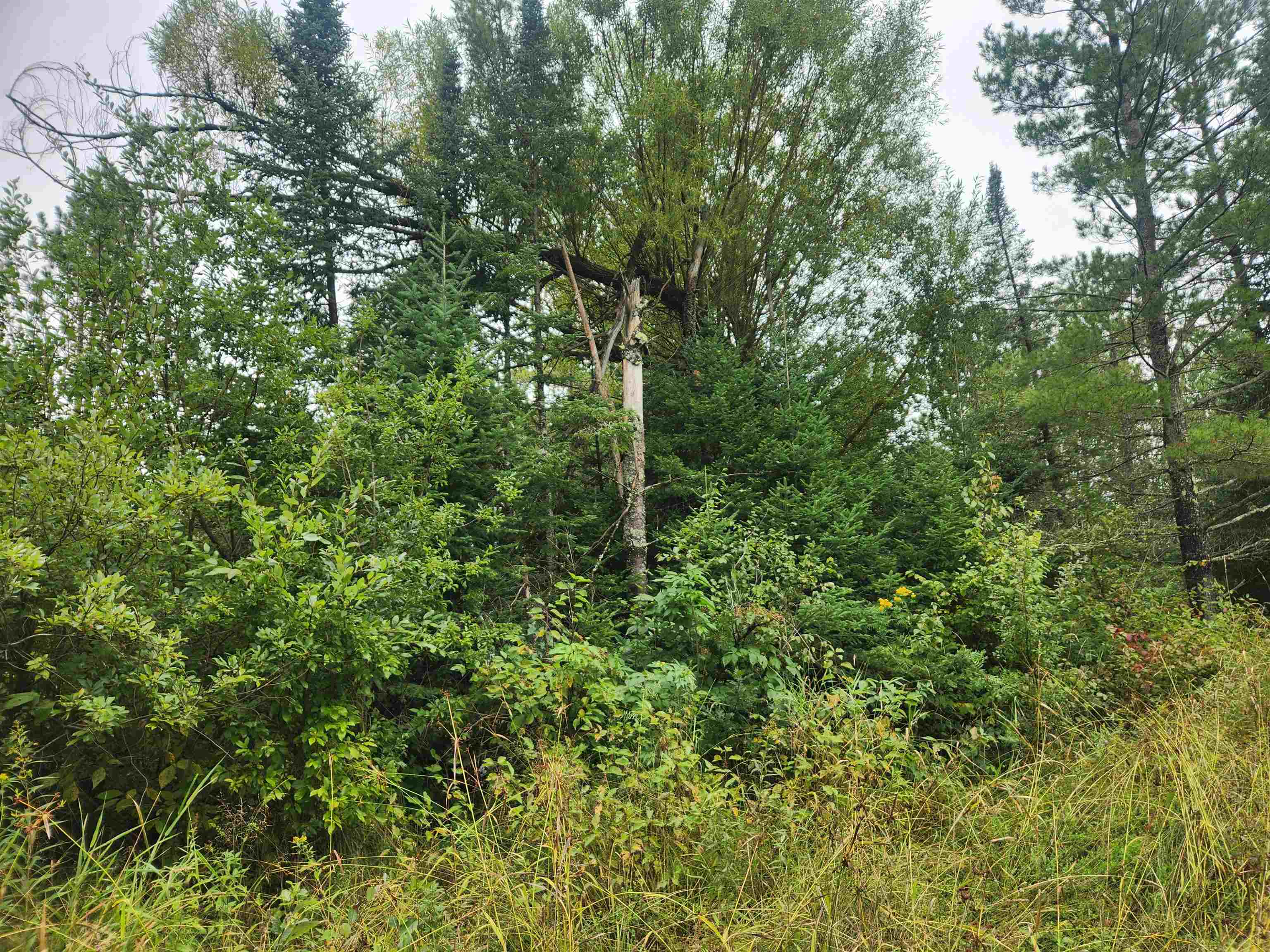 27XXX Dayton Rd Washburn WI 54891 6122840 image5