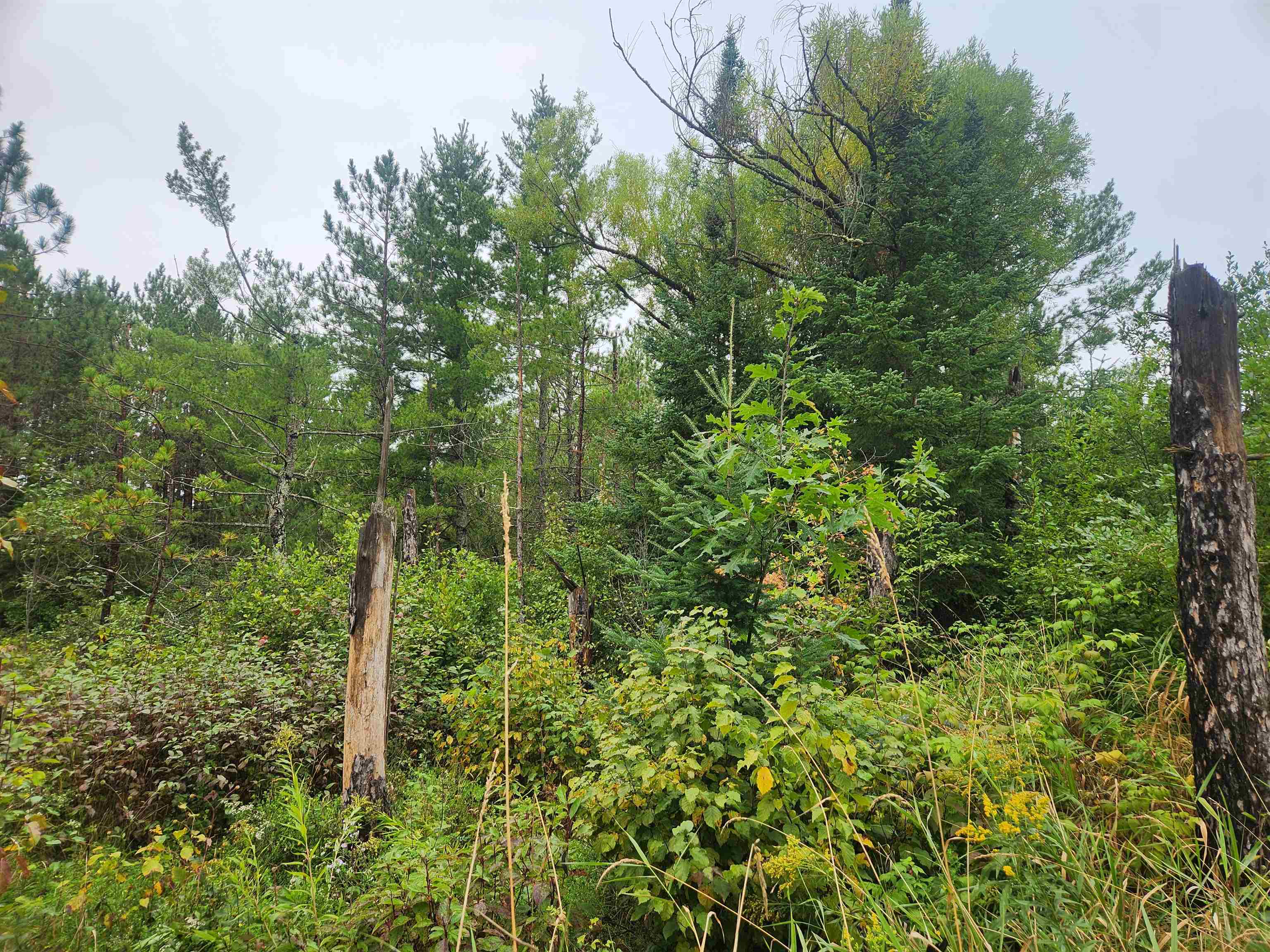 27XXX Dayton Rd Washburn WI 54891 6122840 image6