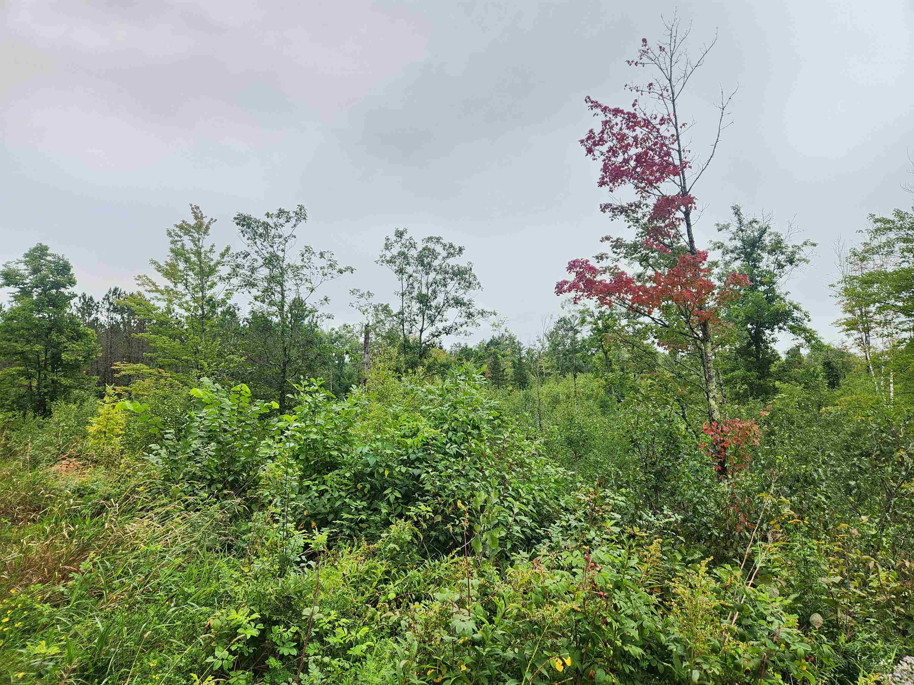 27XXX Dayton Rd Washburn WI 54891 6122840 image7