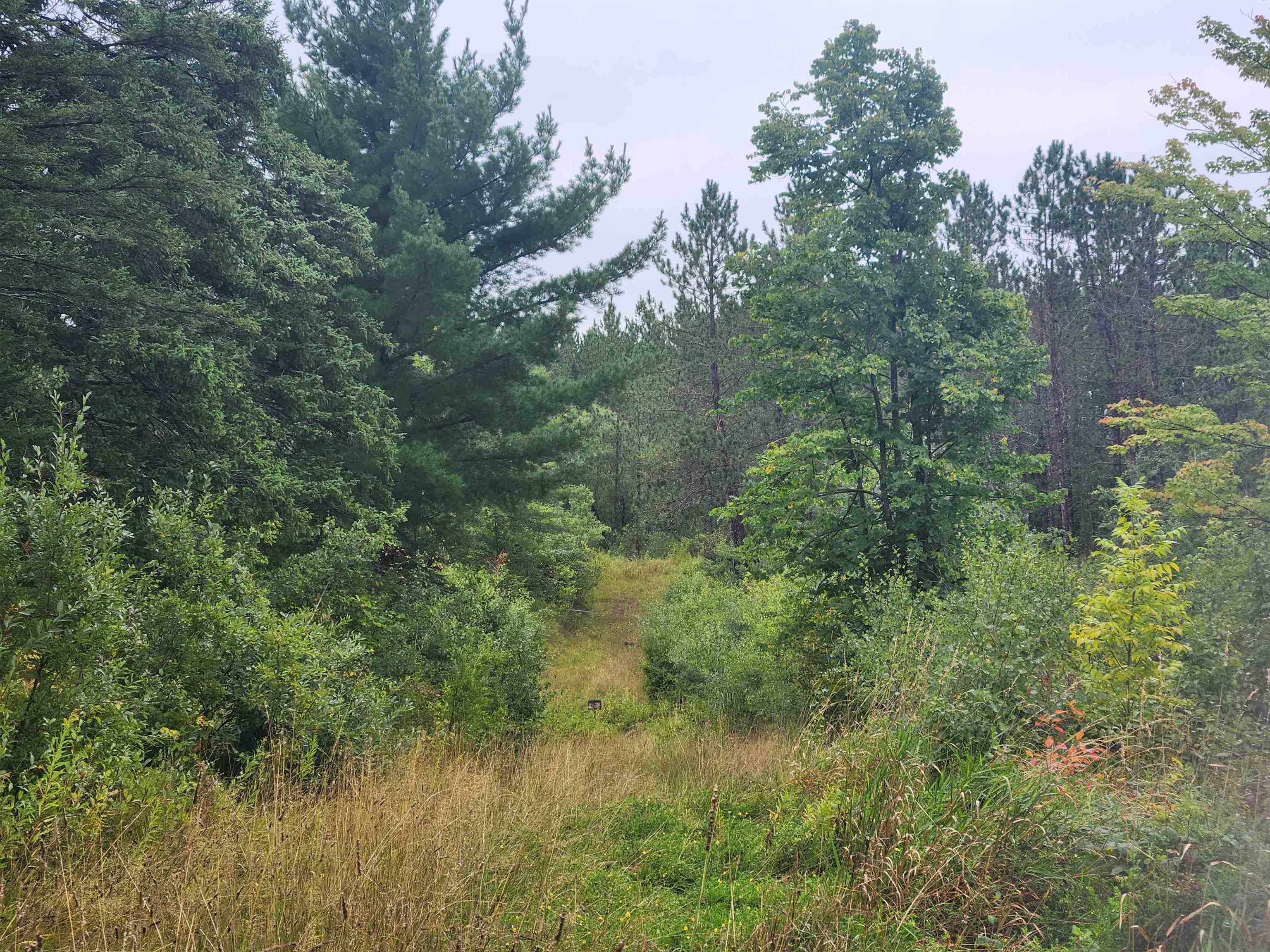 27XXX Dayton Rd Washburn WI 54891 6122840 image8