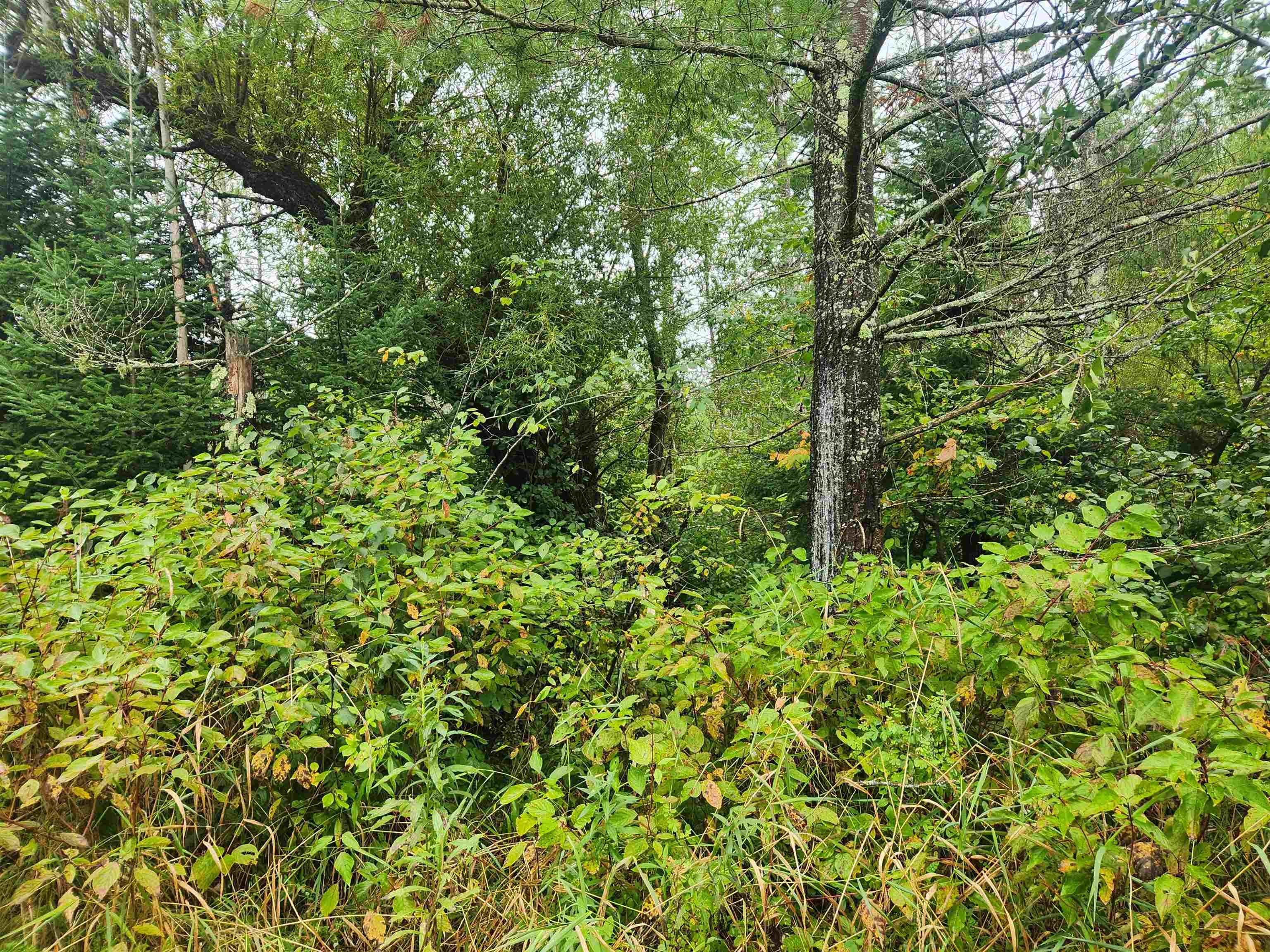 27XXX Dayton Rd Washburn WI 54891 6122840 image9