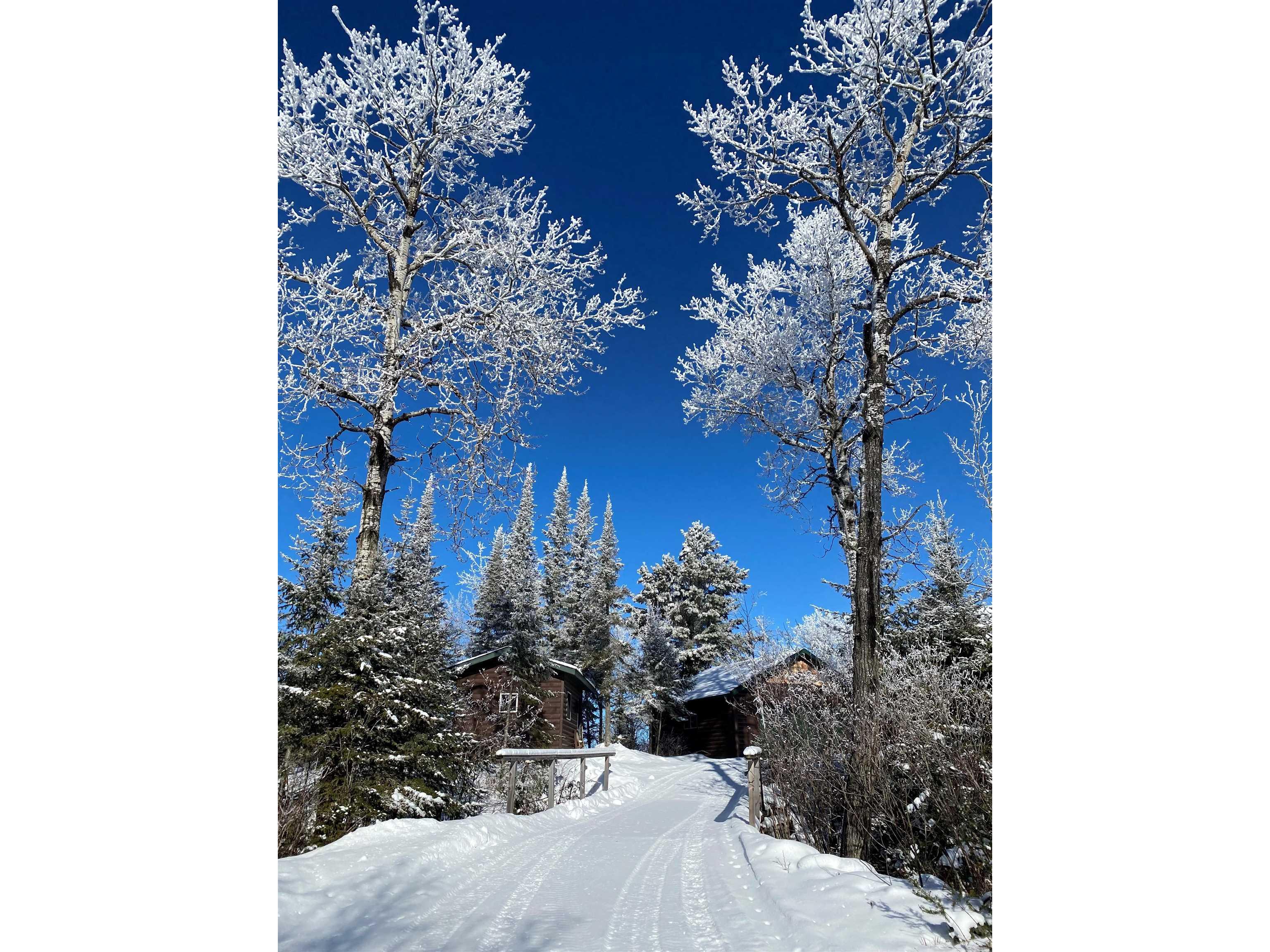 28 Caps Tr Lutsen MN 55612 6122990 image4