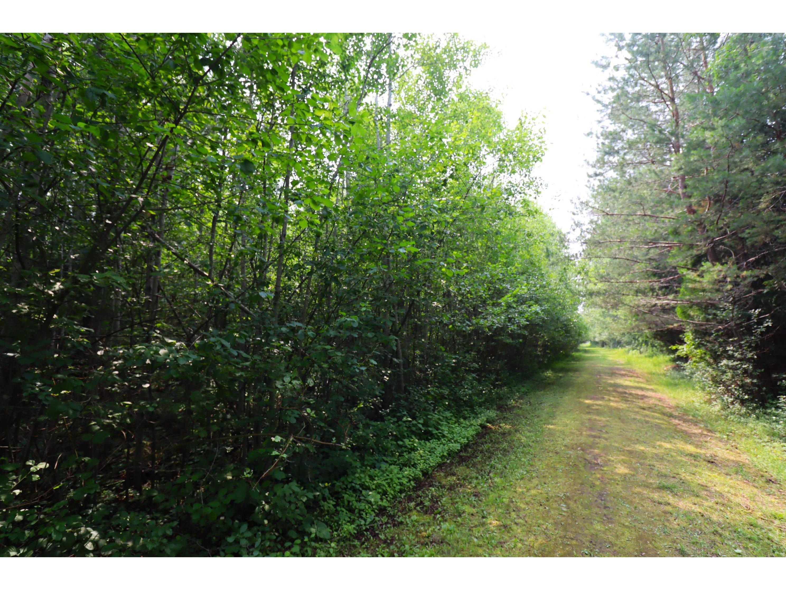 28XX Junction Rd Ashland WI 54806 6120858 image6