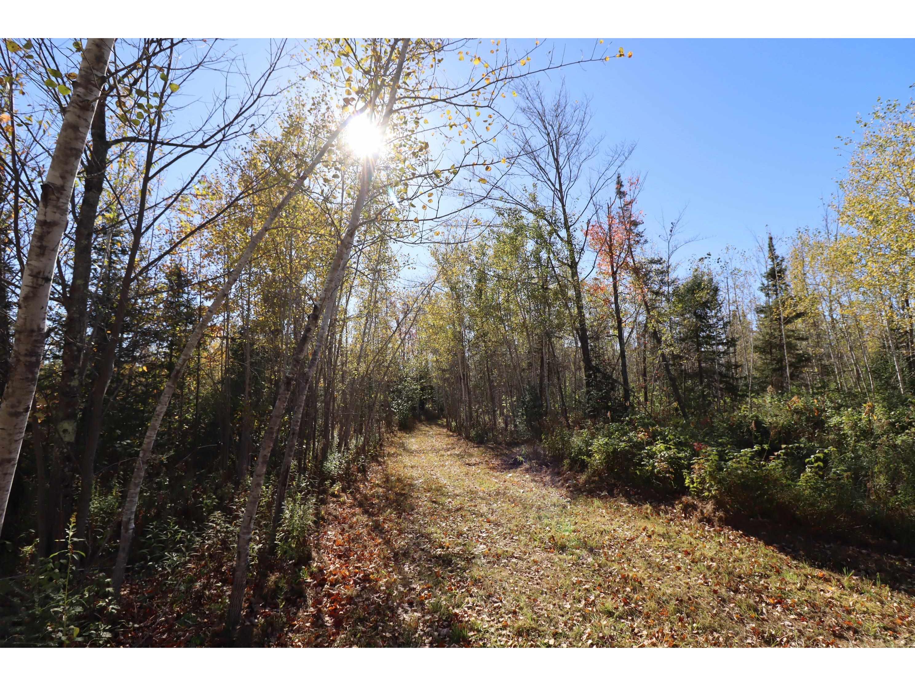 29235 Hagstrom Rd Ashland WI 54806 6122100 image57