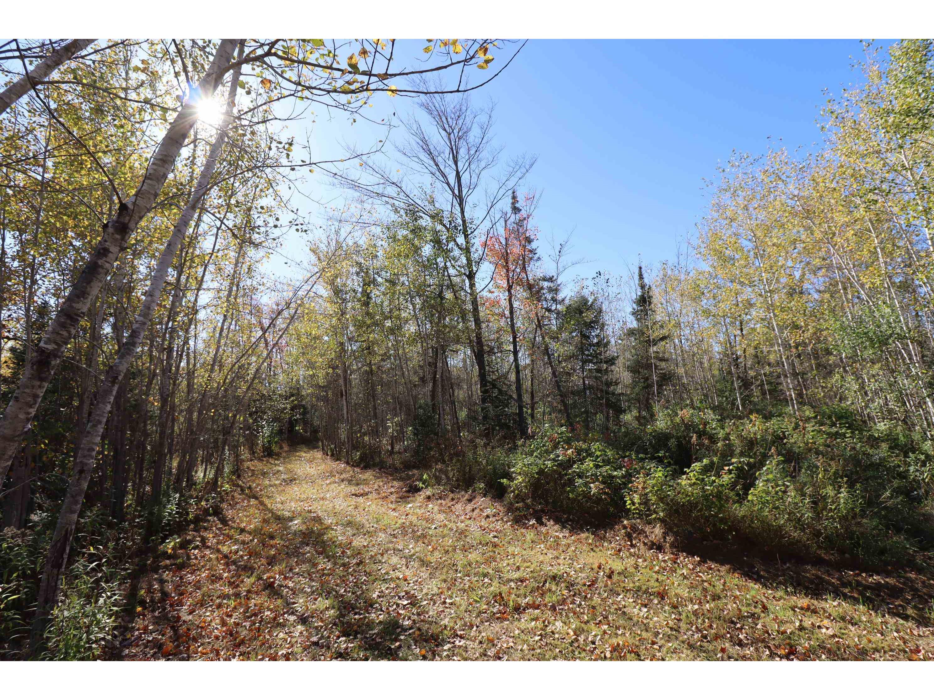 29235 Hagstrom Rd Ashland WI 54806 6122100 image59