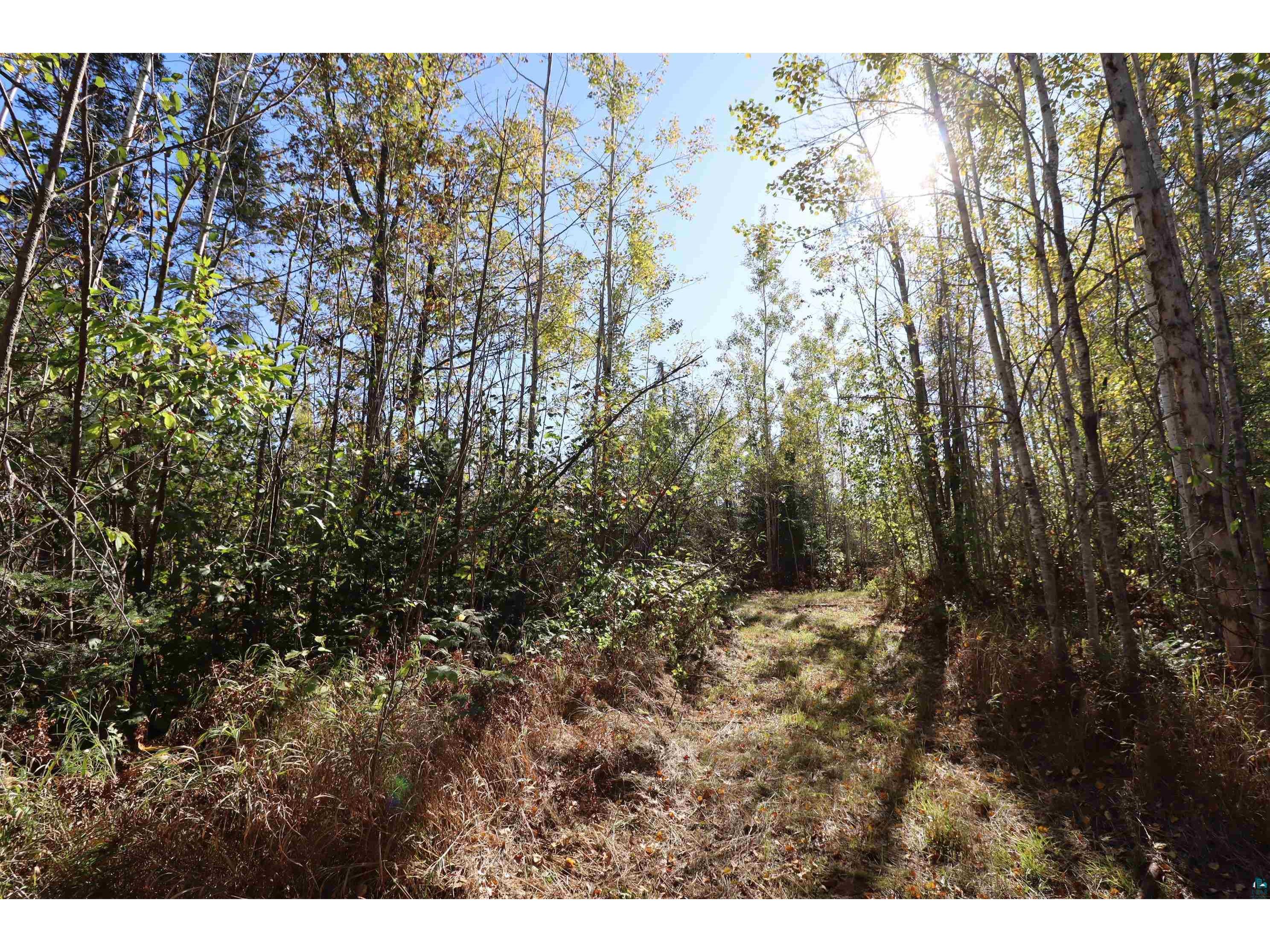 29235 Hagstrom Rd Ashland WI 54806 6122100 image70