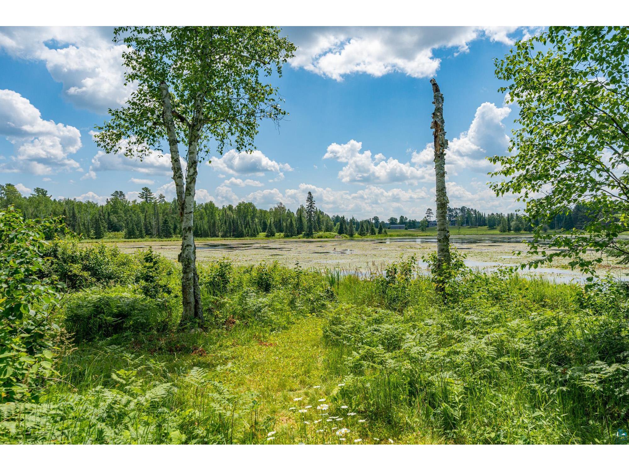 296 Shady Ln Ely MN 55731 6124796 image21