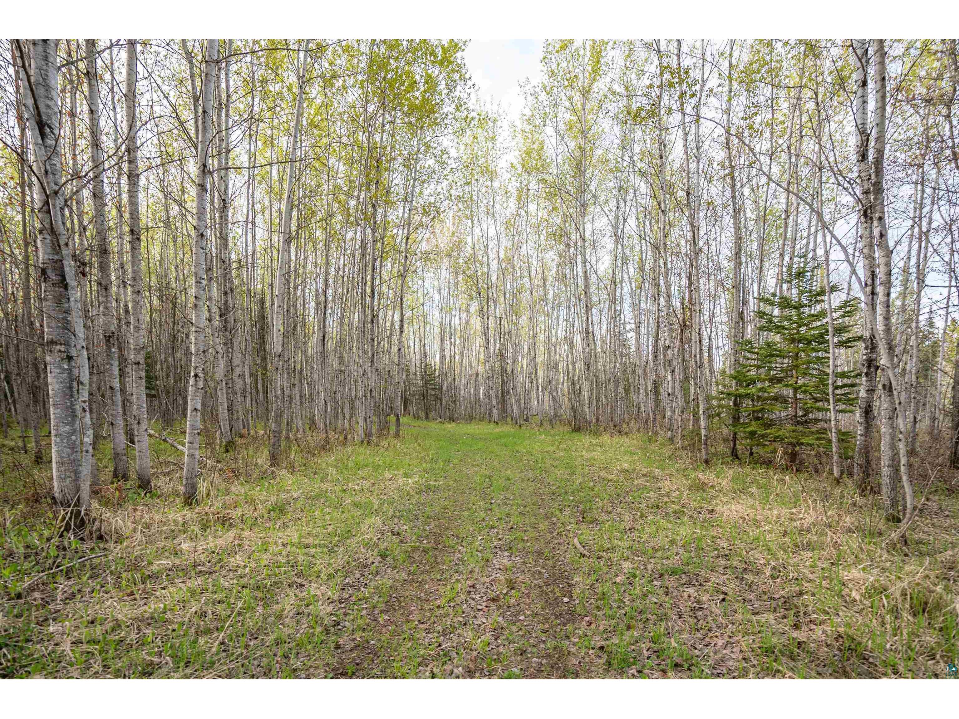 296X S Amnicon River Rd South Range WI 54874 6125688 image19
