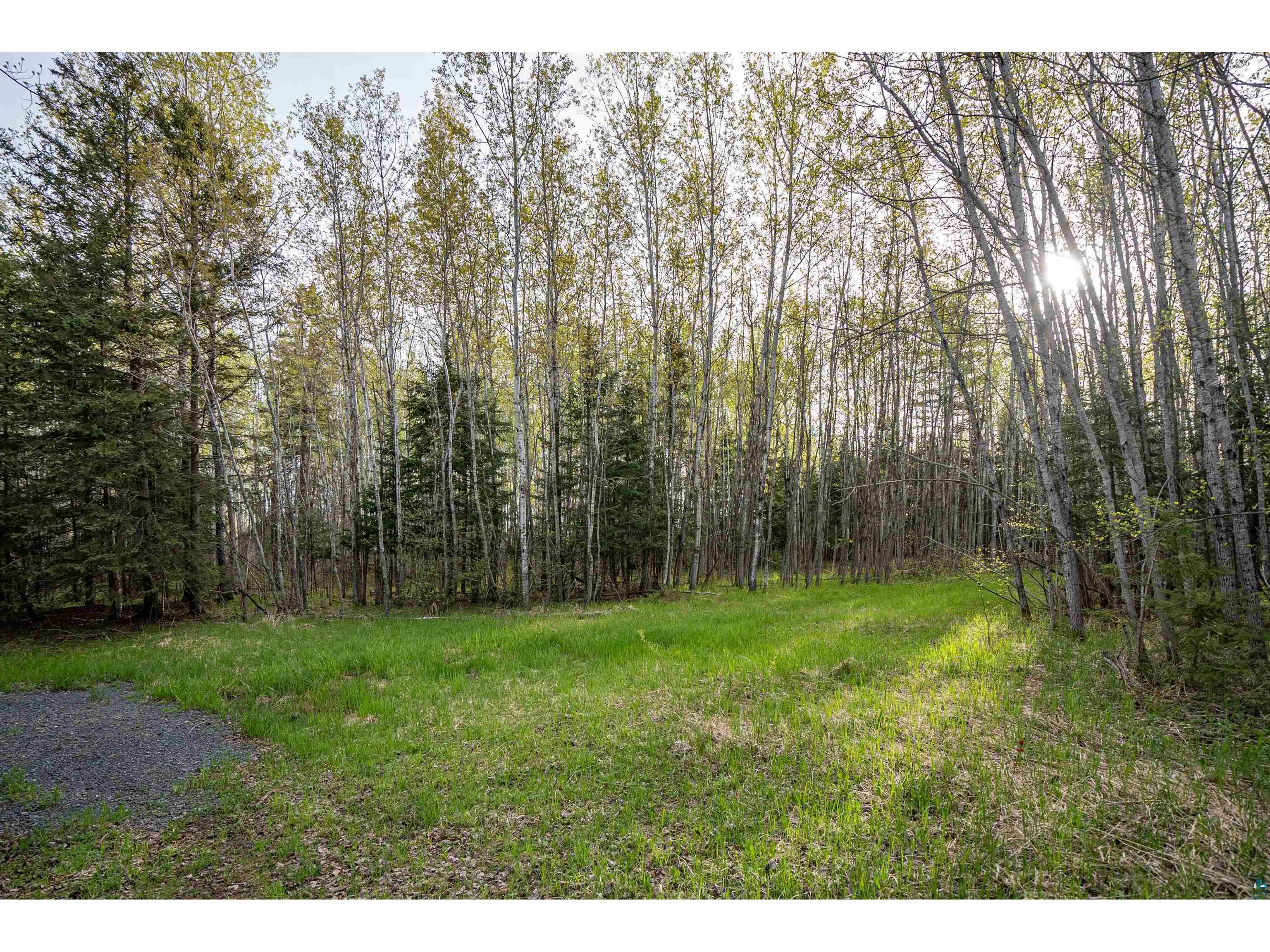 296X S Amnicon River Rd South Range WI 54874 6125688 image20