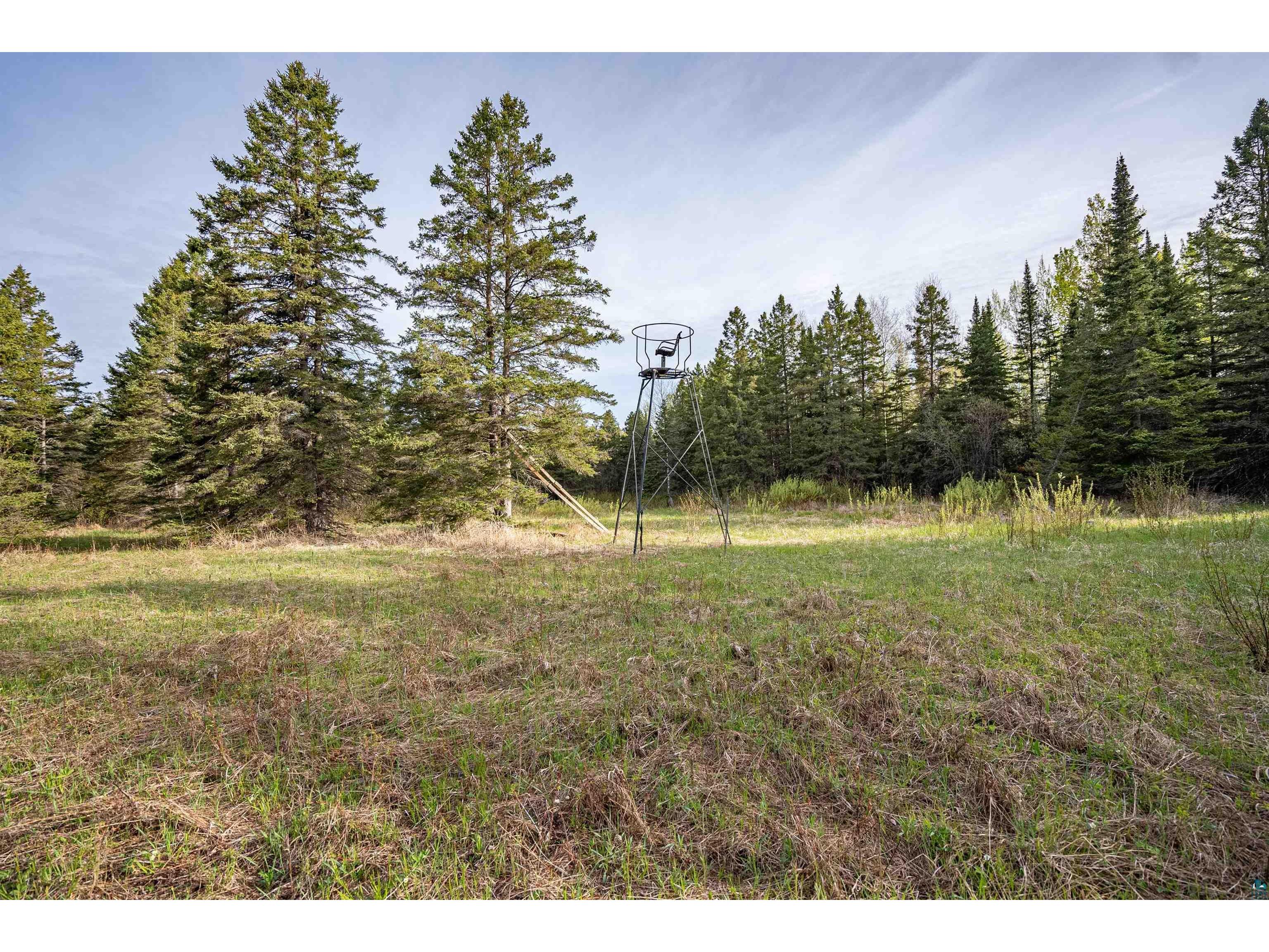296X S Amnicon River Rd South Range WI 54874 6125688 image21