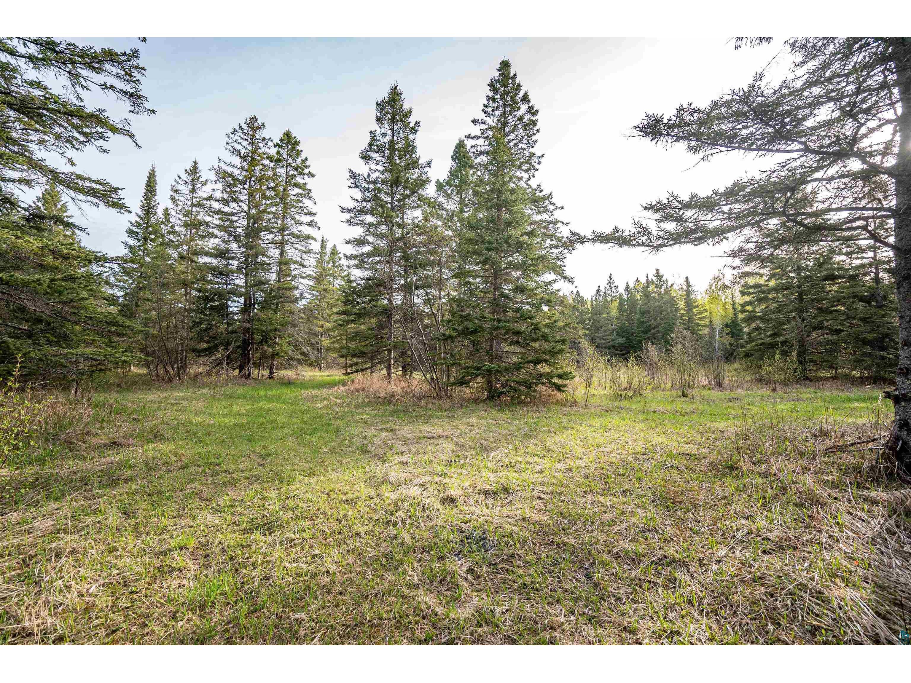 296X S Amnicon River Rd South Range WI 54874 6125688 image22