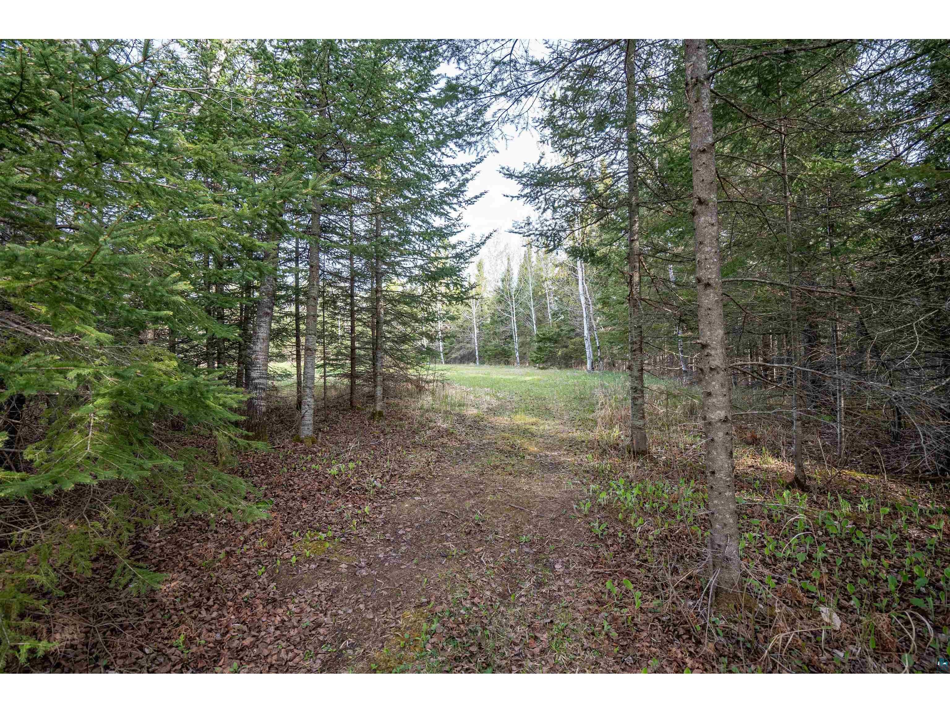 296X S Amnicon River Rd South Range WI 54874 6125688 image23