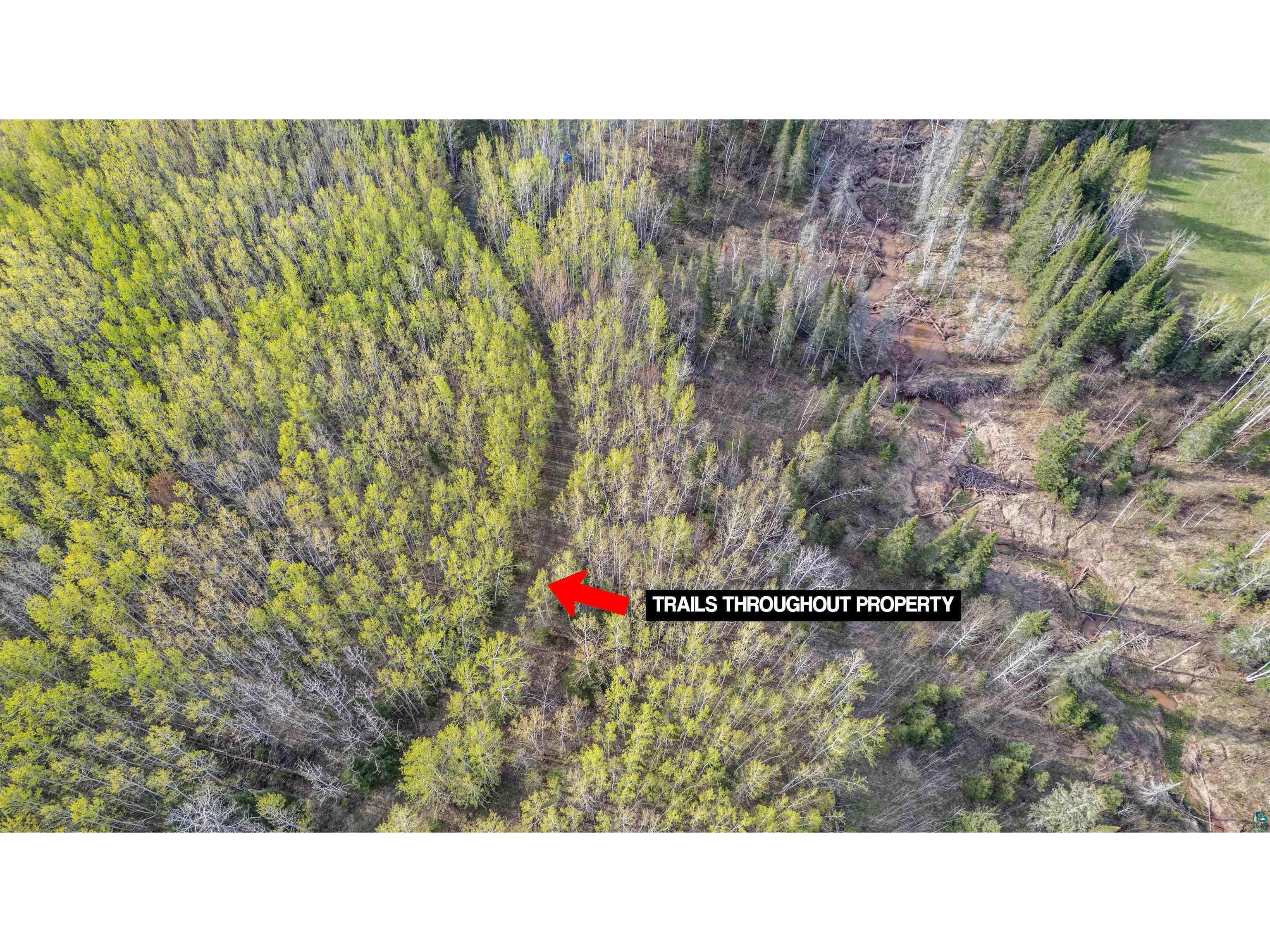296X S Amnicon River Rd South Range WI 54874 6125688 image4