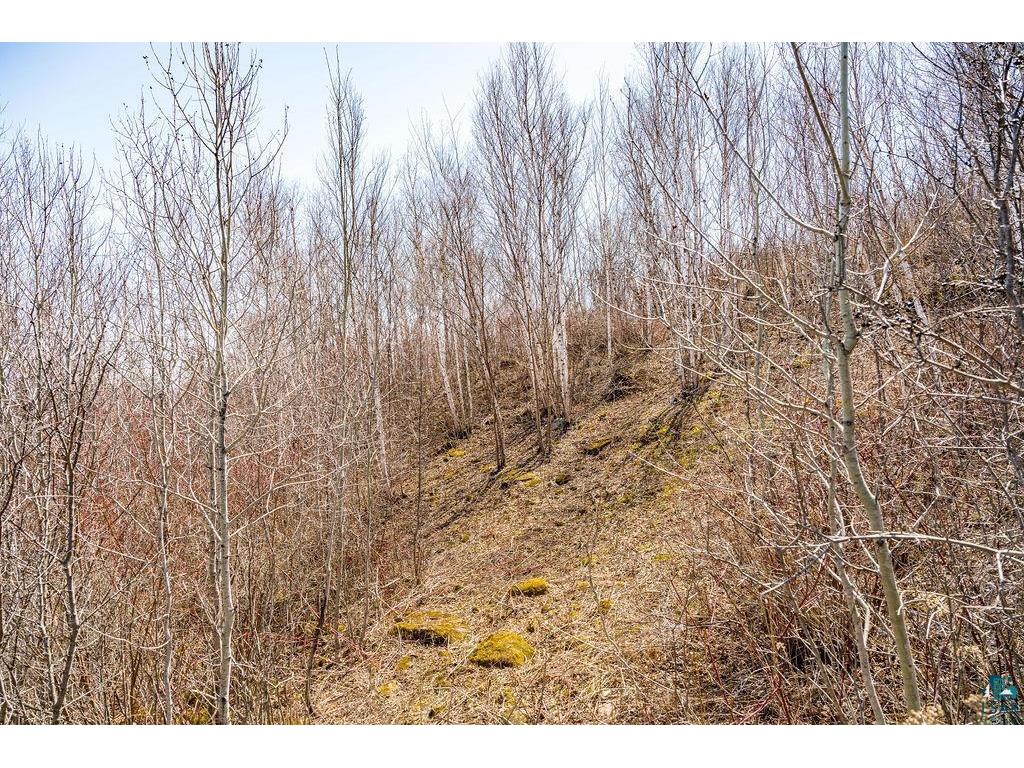 29xx W 15th St Duluth MN 55807 6120785 image10