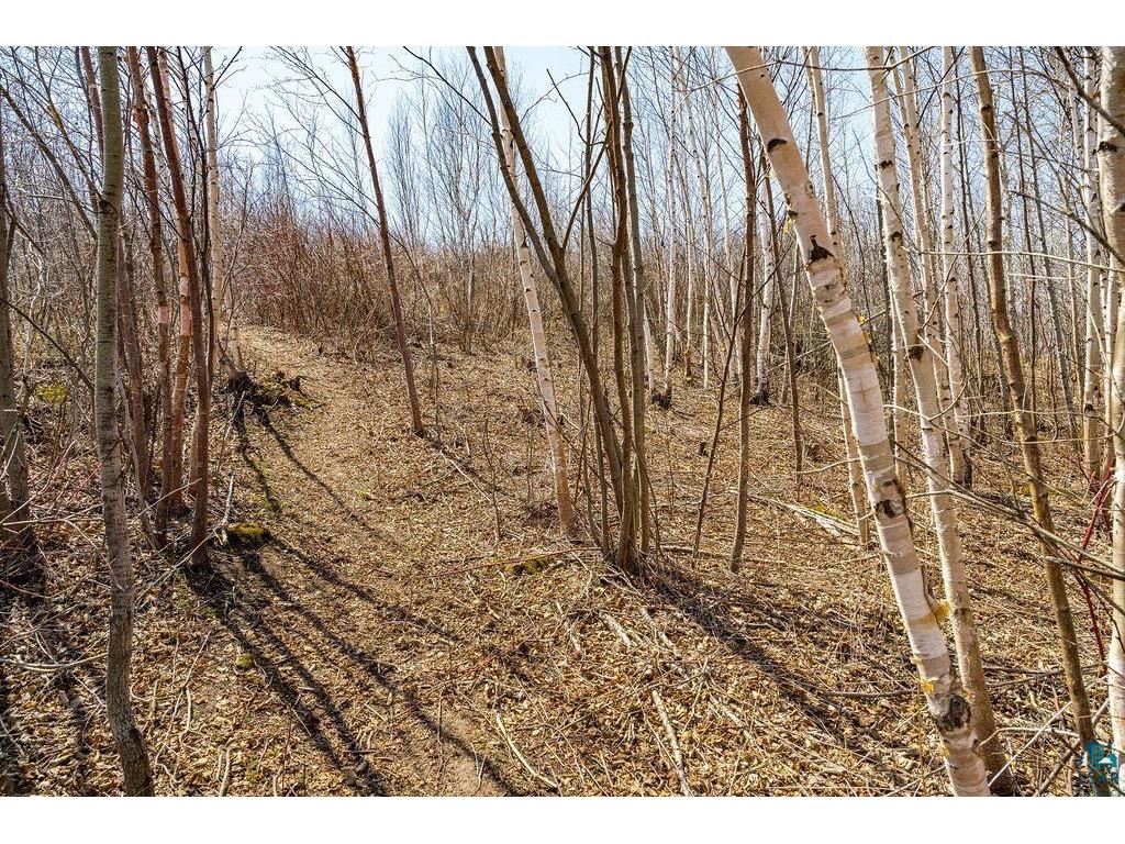 29xx W 15th St Duluth MN 55807 6120785 image11