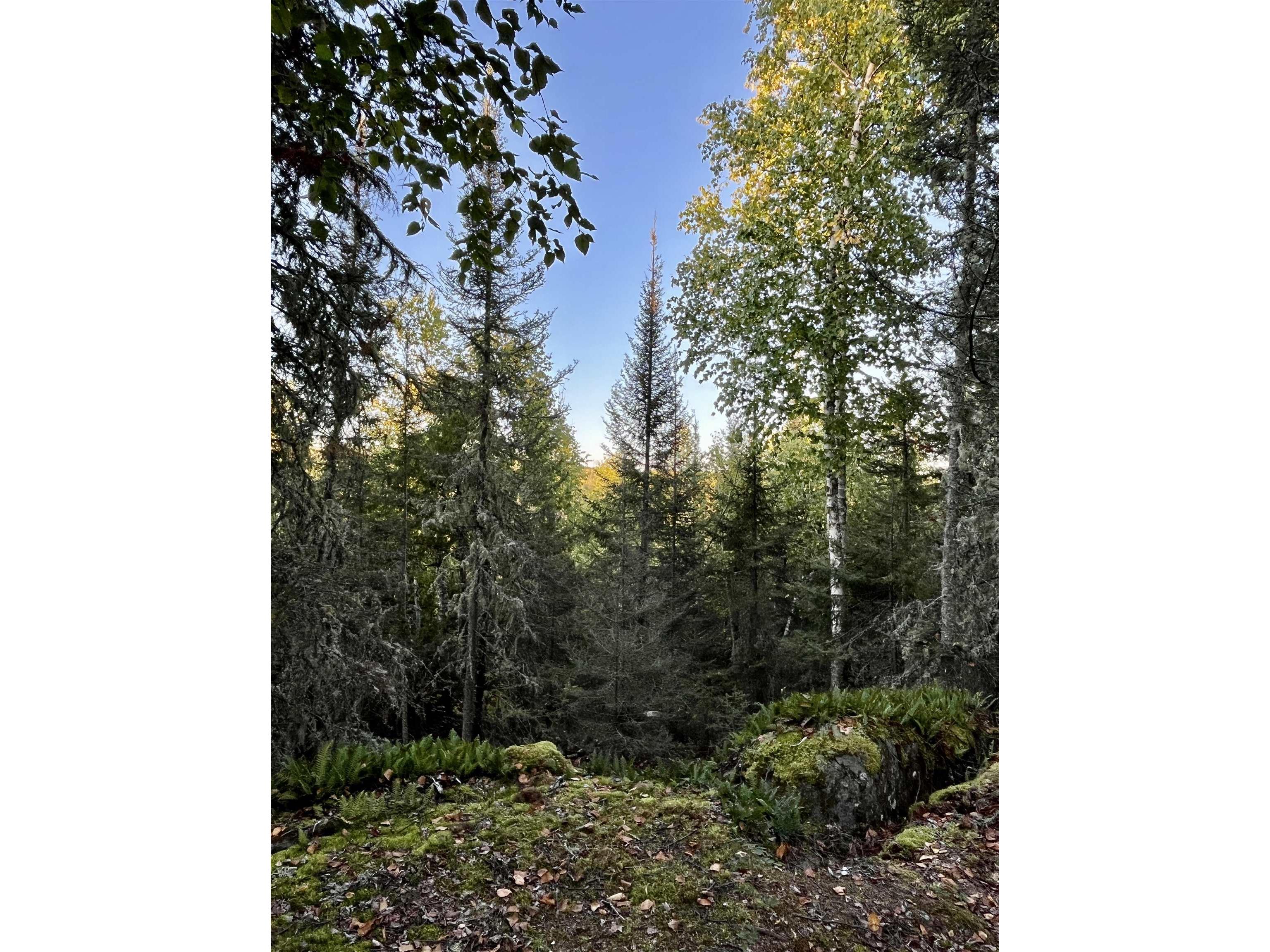2XX N Gunflint Lake Rd Grand Marais MN 55604 - Gunflint 6122307 image1