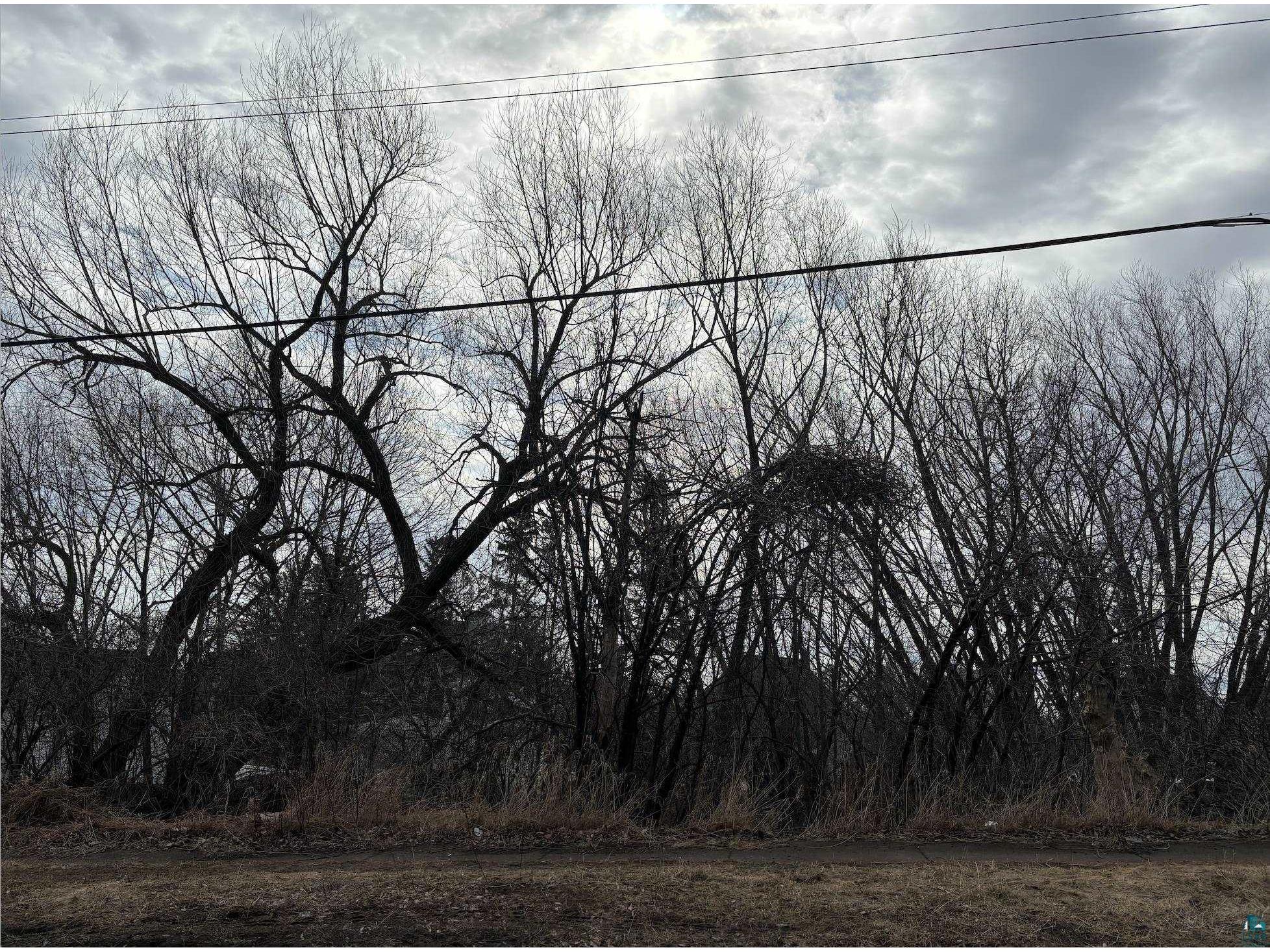 2xx E 8th St Duluth MN 55805 6113048 image1