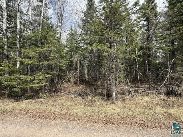 2xx Green Haven Rd Duluth MN 55810 6125155 image13