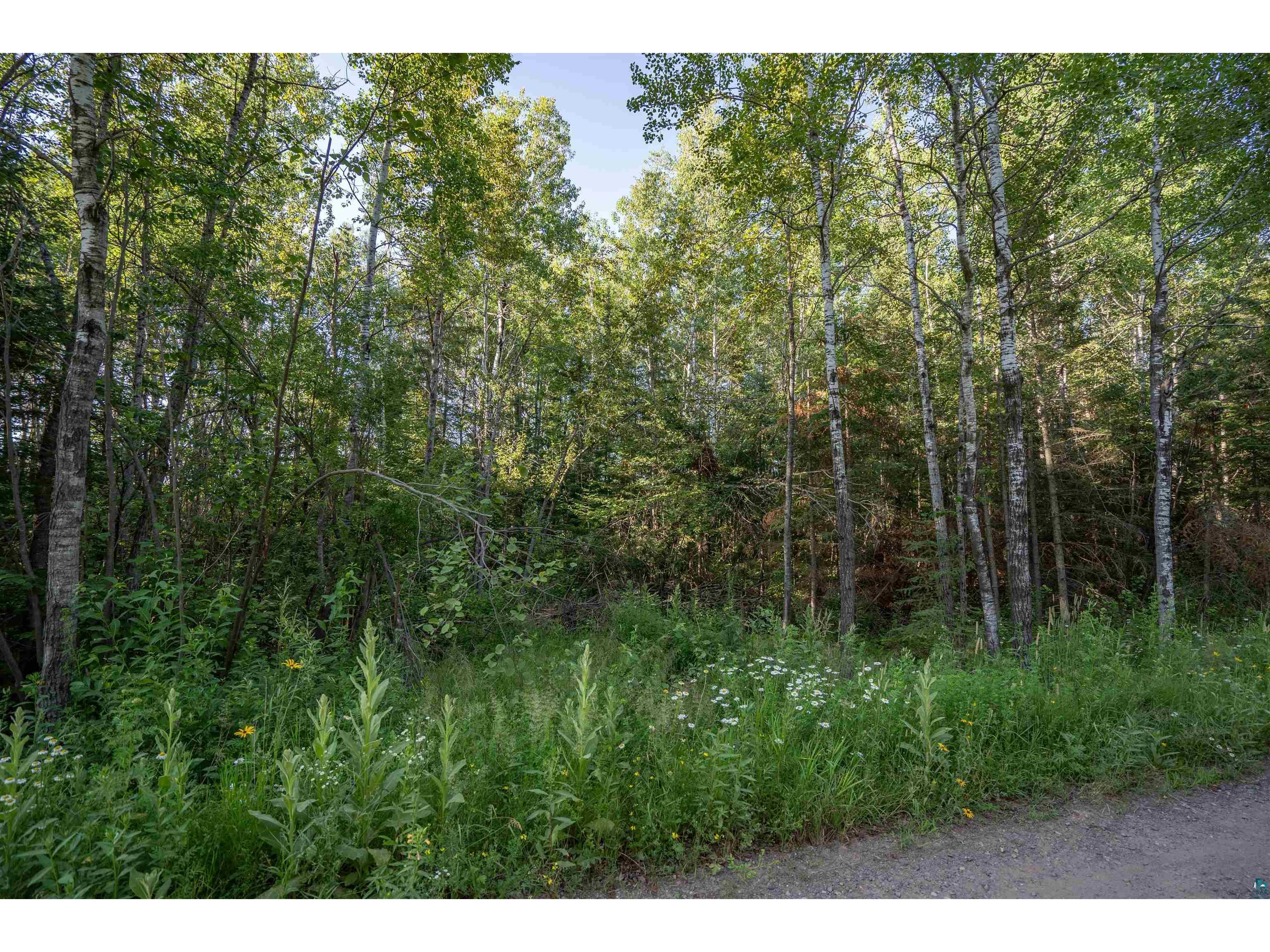 2xx Green Haven Rd Duluth MN 55810 6125155 image9