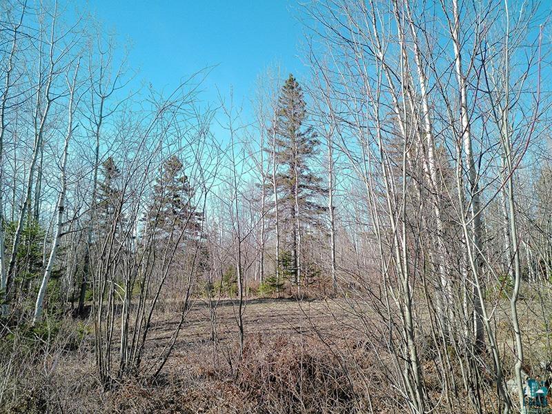2xx Overlook Tr Tofte MN 55615 6125078 image1