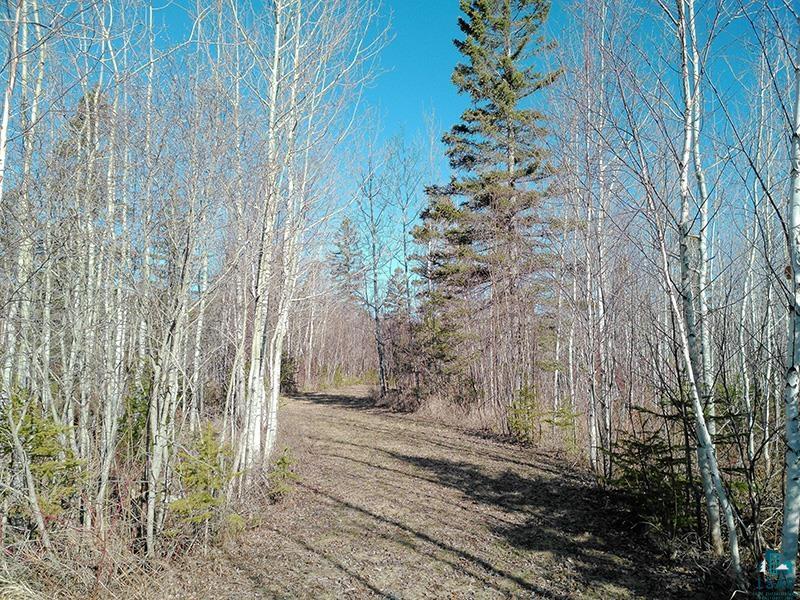 2xx Overlook Tr Tofte MN 55615 6125078 image10
