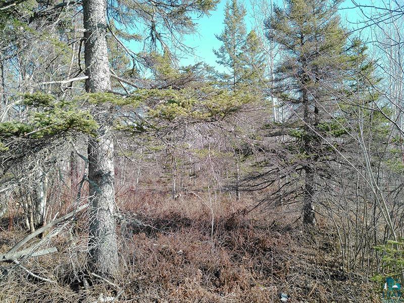2xx Overlook Tr Tofte MN 55615 6125078 image11