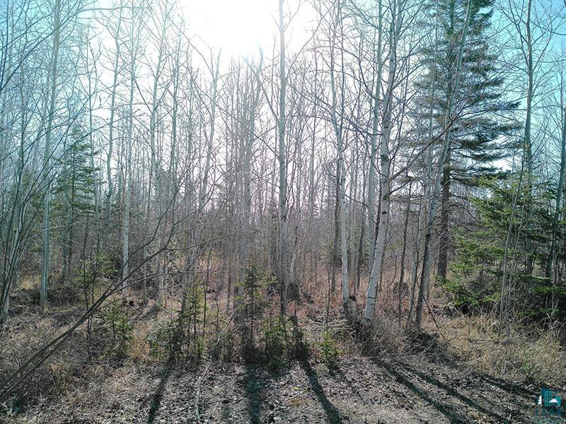 2xx Overlook Tr Tofte MN 55615 6125078 image12