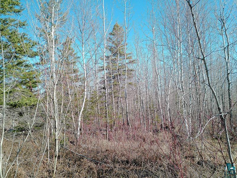 2xx Overlook Tr Tofte MN 55615 6125078 image14