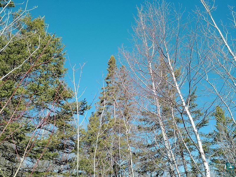 2xx Overlook Tr Tofte MN 55615 6125078 image15