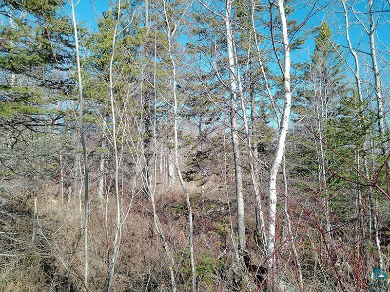 2xx Overlook Tr Tofte MN 55615 6125078 image16