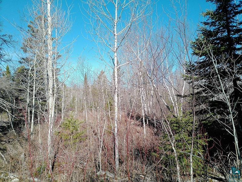2xx Overlook Tr Tofte MN 55615 6125078 image17