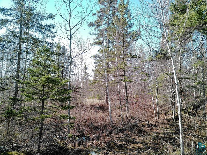 2xx Overlook Tr Tofte MN 55615 6125078 image19
