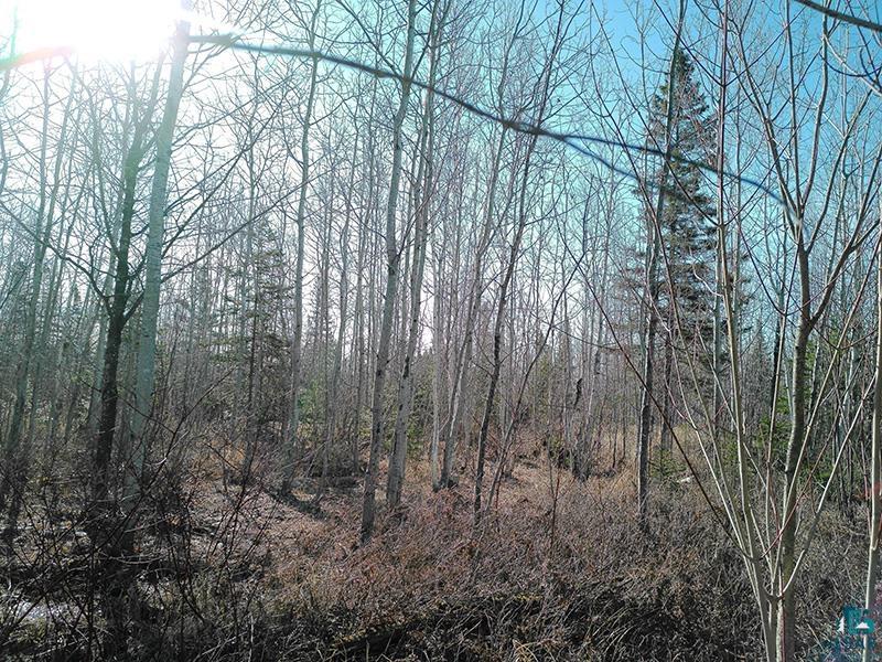 2xx Overlook Tr Tofte MN 55615 6125078 image20