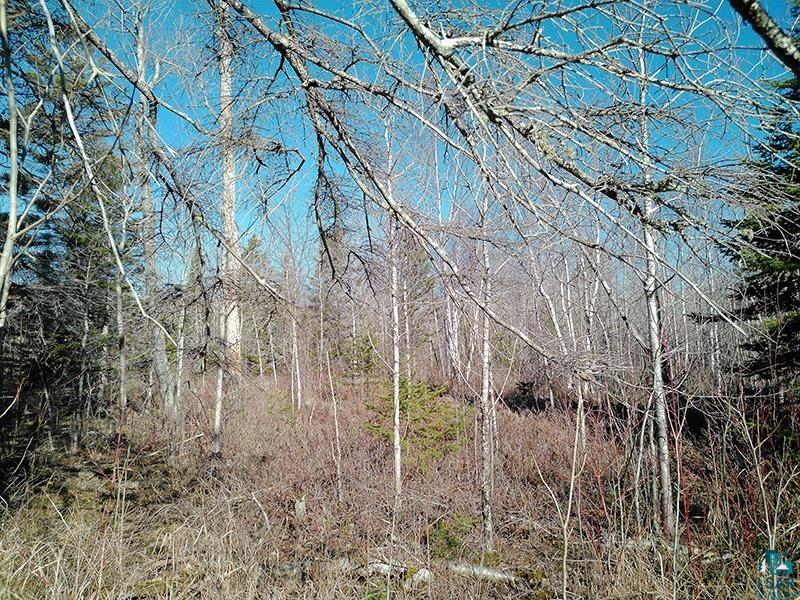 2xx Overlook Tr Tofte MN 55615 6125078 image21