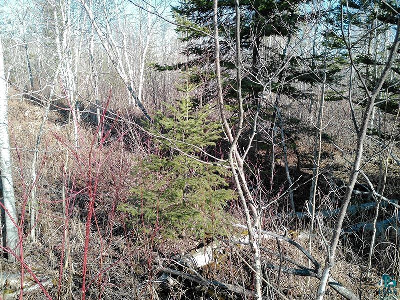 2xx Overlook Tr Tofte MN 55615 6125078 image23