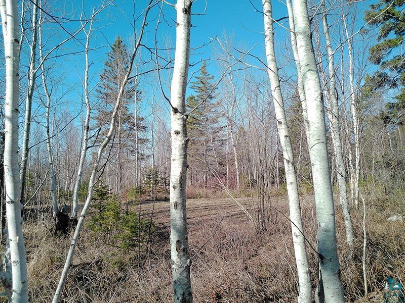 2xx Overlook Tr Tofte MN 55615 6125078 image24