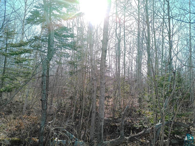 2xx Overlook Tr Tofte MN 55615 6125078 image25